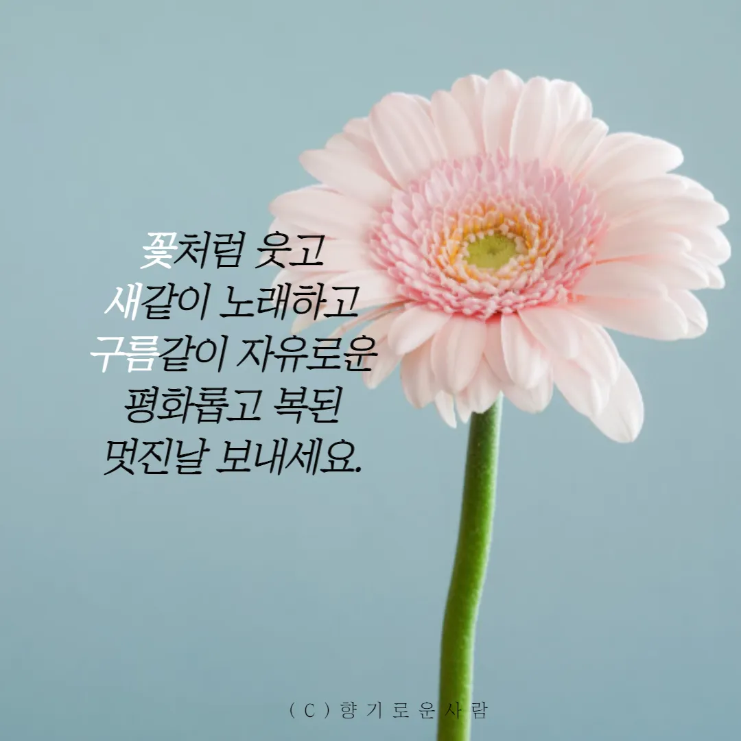 아침인사 이쁜글 다운로드_3