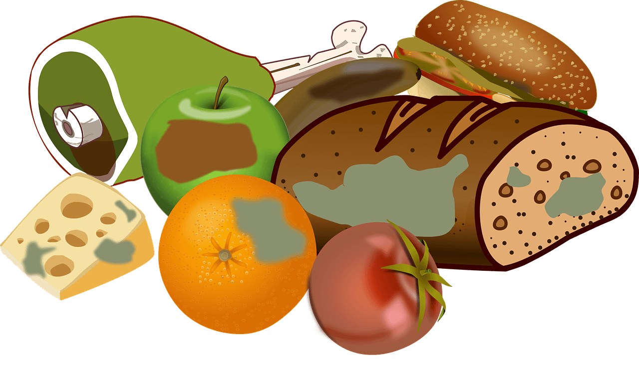 음식물처리기 지원금 신청