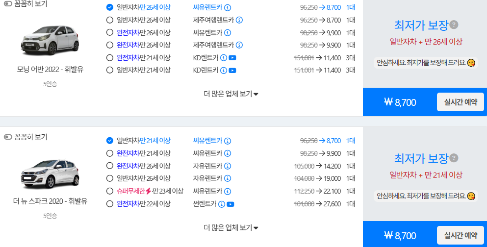 돌하루팡 렌트카 비용