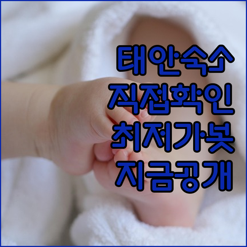 직접 확인한 태안 숙소 5곳 위치 장..