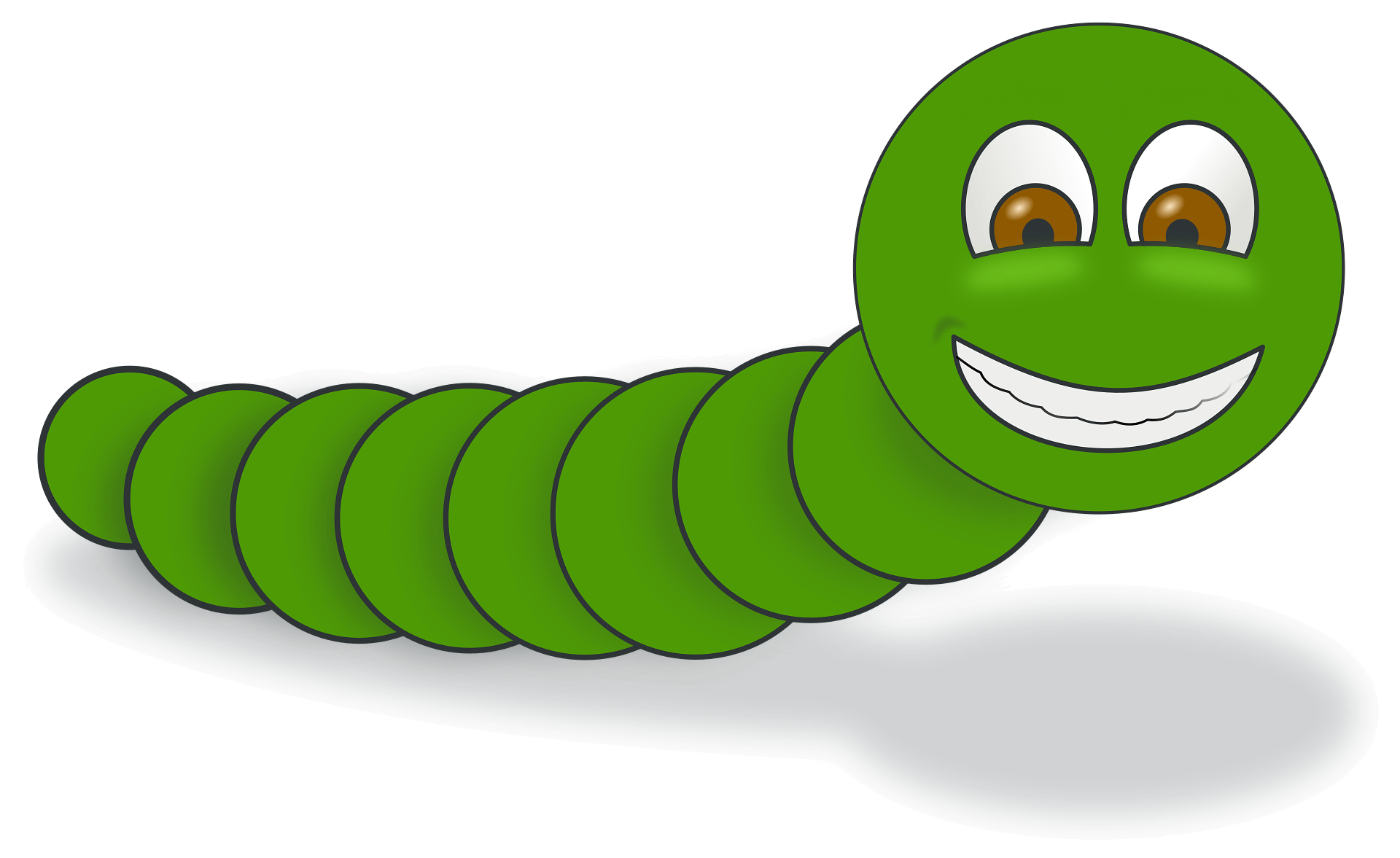 돈벌레 생기는 이유