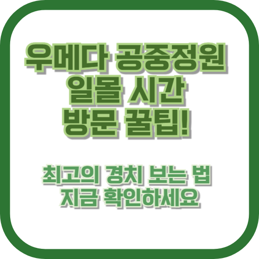 우메다 공중정원 일몰 시간 방문 꿀팁! 최고의 경치 보는 법, 지금 확인하세요