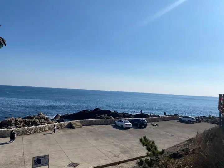 언덕에서-바라본-축산항-내-주차장