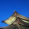 창경궁 야간개장