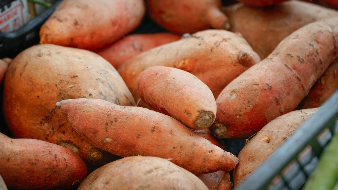 sweet potato