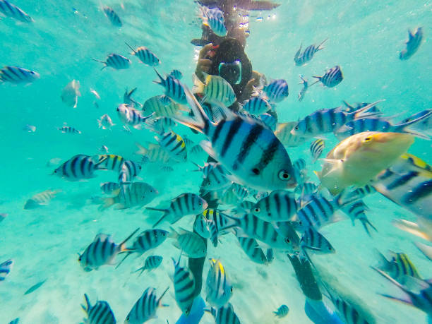 일본 여행자 보험 사고 처리