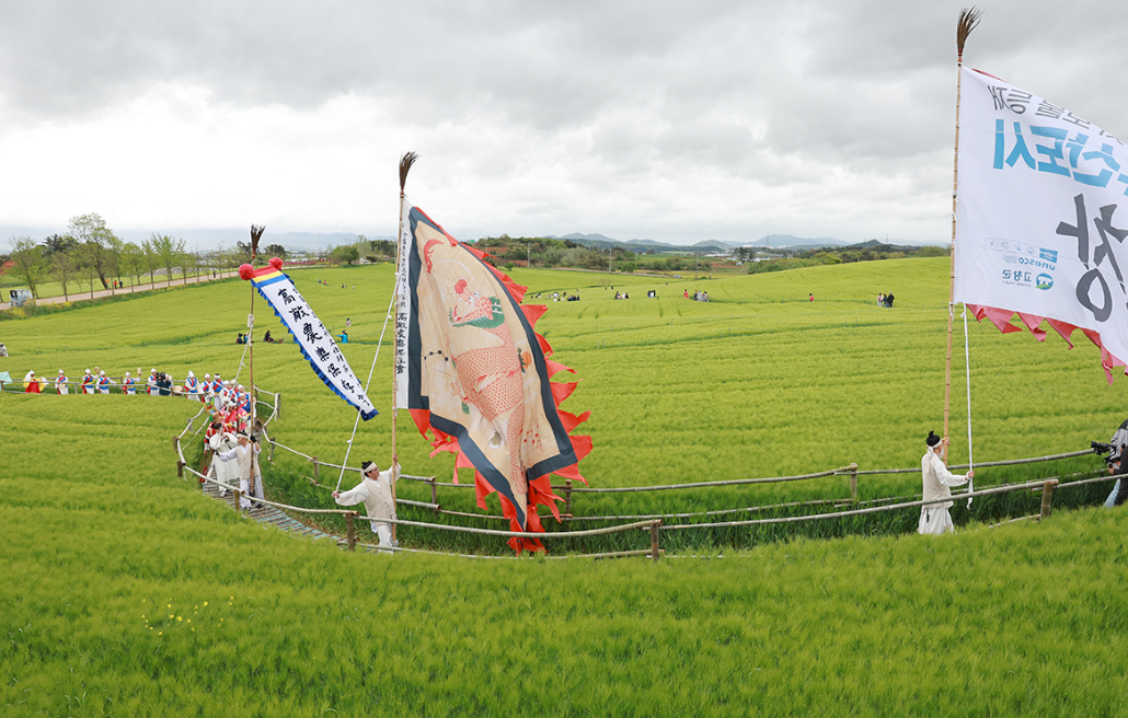 고창 청보리밭 축제, 전라북도 고창군 봄 축제