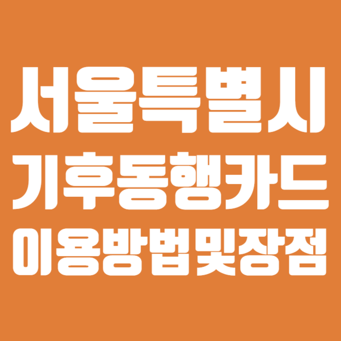 서울특별시 기후동행카드