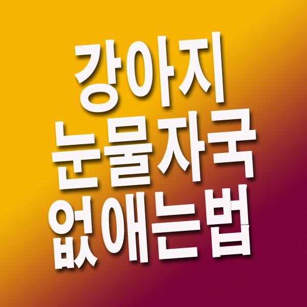 강아지 눈물자국 없애는법