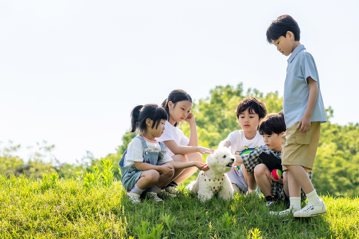 강아지 무료 분양
