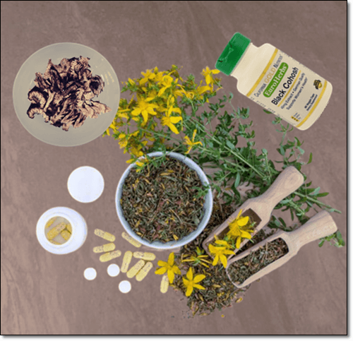 블랙 코호시와 세인트 존스 워트 보충제