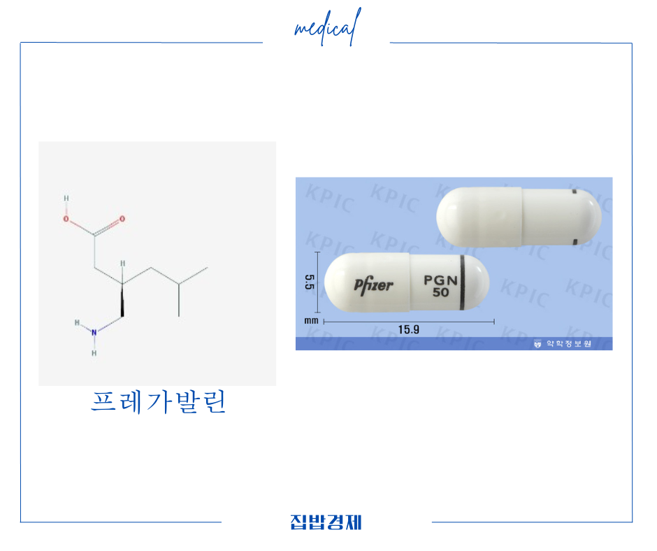 리리카캡슐 성분 및 제형