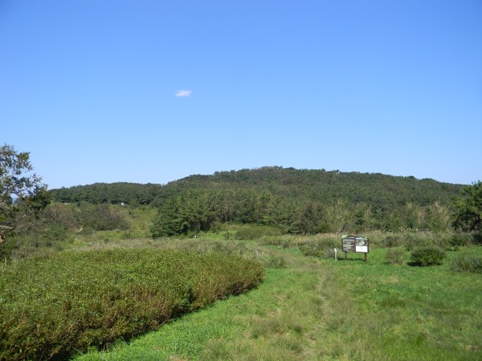 장산습지와 앵림산