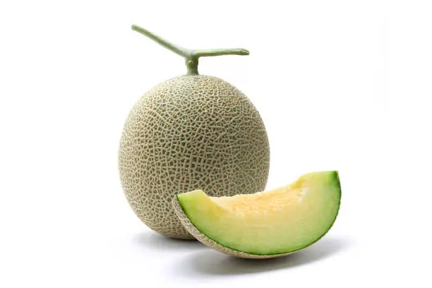 메론의 특징(멜론과 메론)