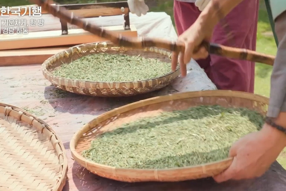 동네한바퀴-하동-오죽차-오죽발효차