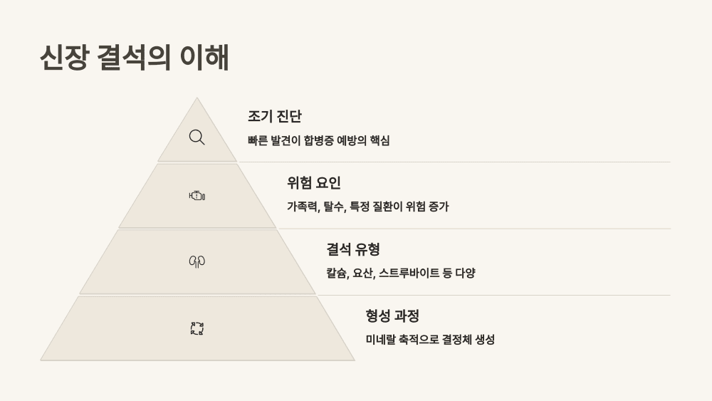 신장 결석의 이해