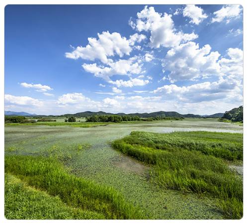 강원 세계산림엑스포 