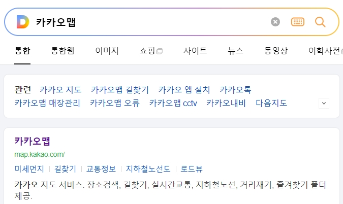 카카오맵 초기 화면