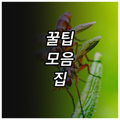 중소중견기업 2025 해외 M&A 지..
