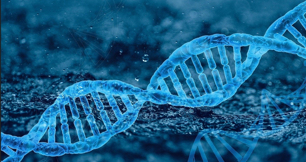 DNA 사진