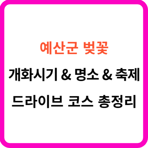 예산군 벚꽃 개화시기 축제 명소 드라이브 코스 를 한눈에! 썸네일