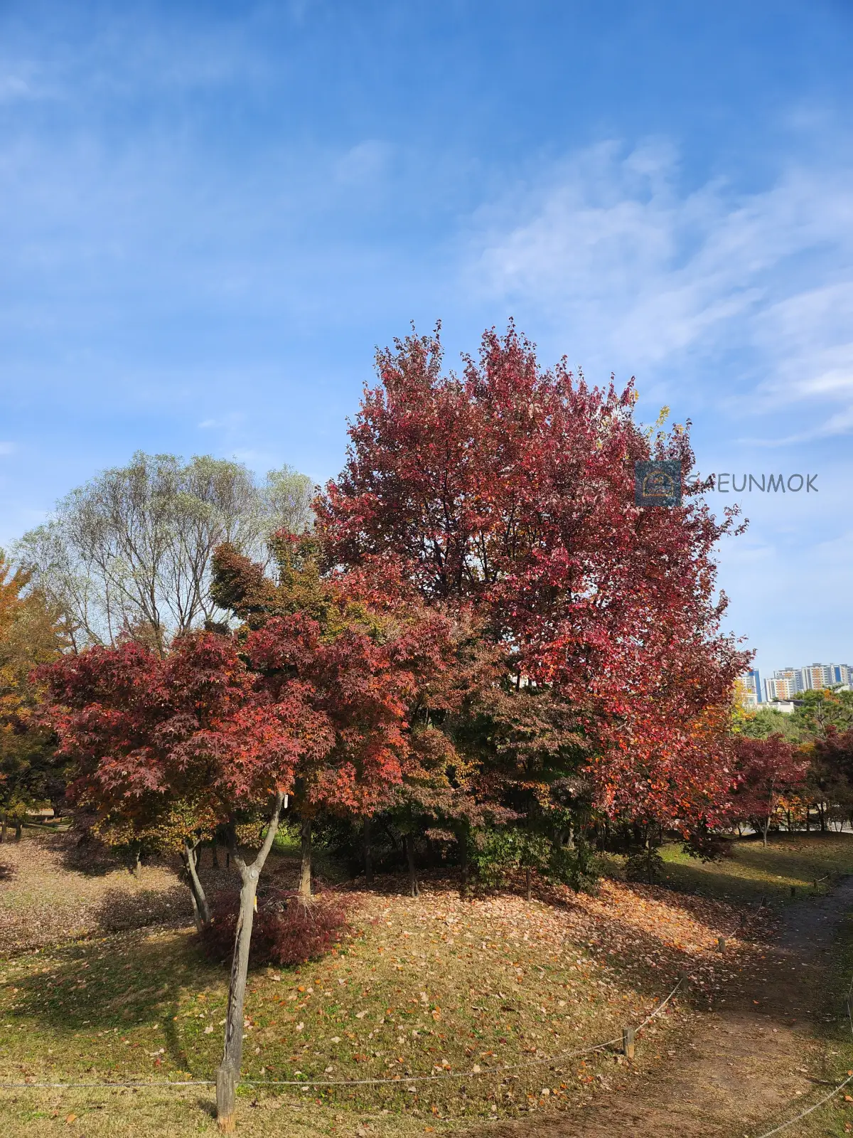 오산-물향기-수목원-단풍사진
