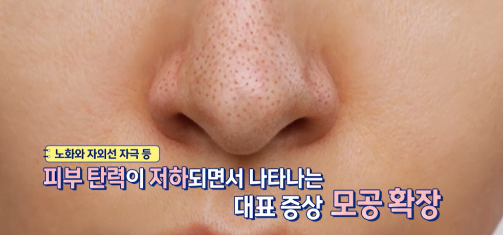 세리포리아