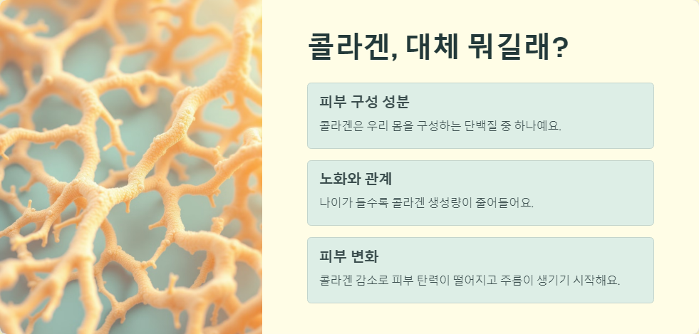 콜라겐 보충제 피부 탄력 효과