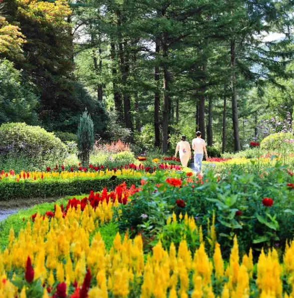 아침고요수목원-입장료-운영시간-관람안내