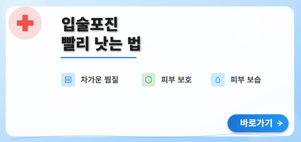 입술포진 빨리 낫는 법(피부 보호, 차가운 찜질, 피부 보습)