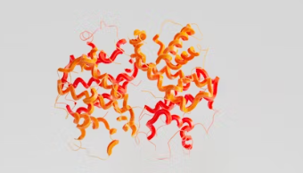 다낭성난소증후군 과 이노시톨 관계