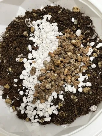 마사토 배합 비율 배수력개선 분갈이기본 시니어도 쉽게_5