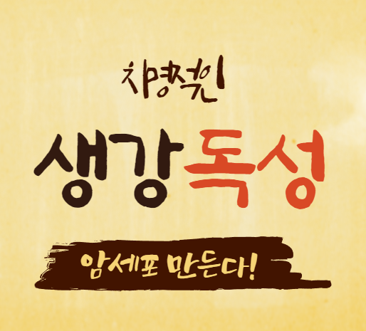 생강효능효과