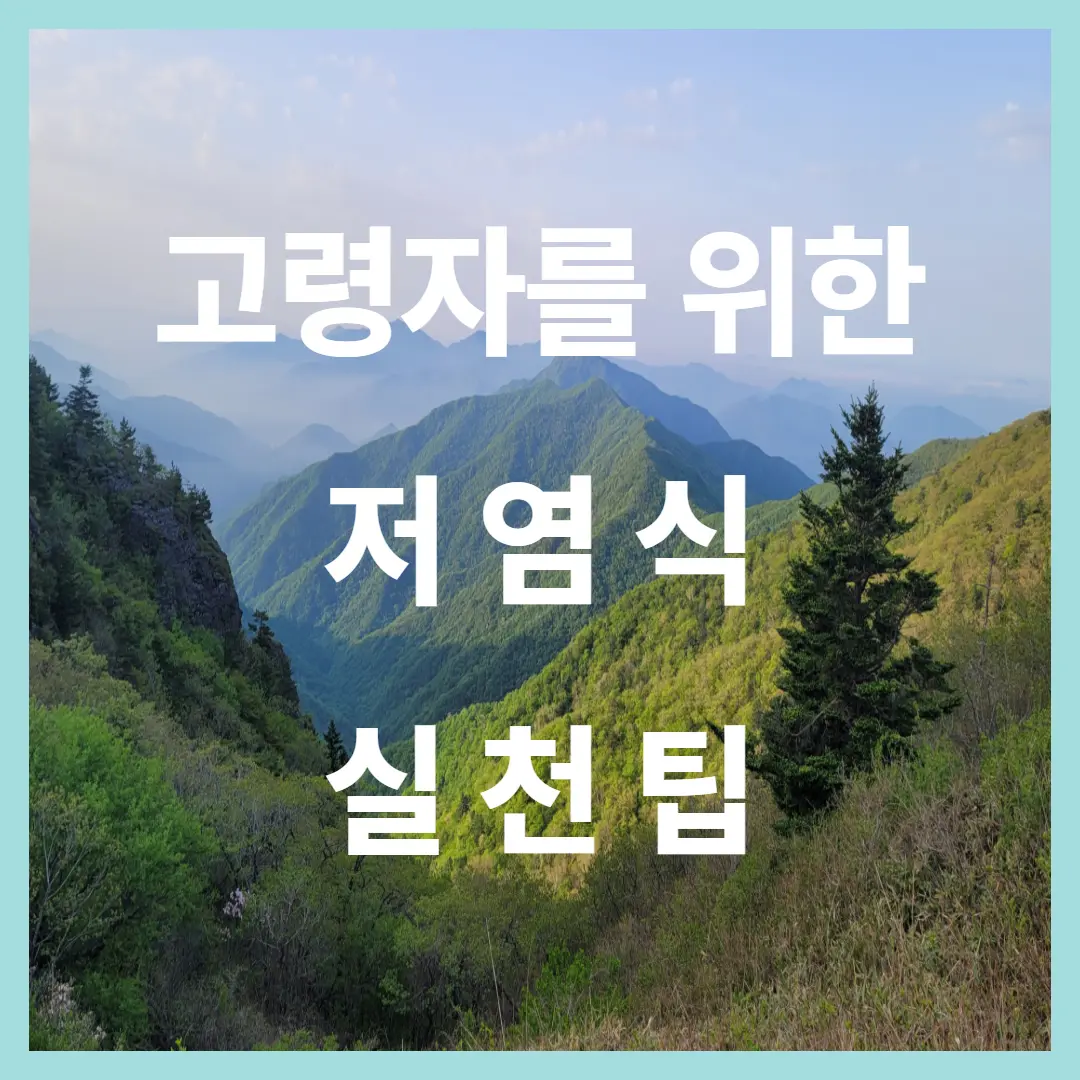 고령자를 위한 저염식 실천 팁