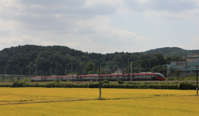 새마을운동 (1970년대): 농촌을 살린 기적의 공동체 운동