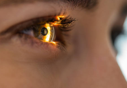 비문증 치료방법, 자연치유, 원인 총정리 (2024ver)