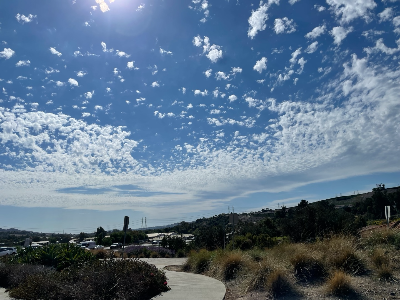 해외여행자보험과 해외이주보험 차이점