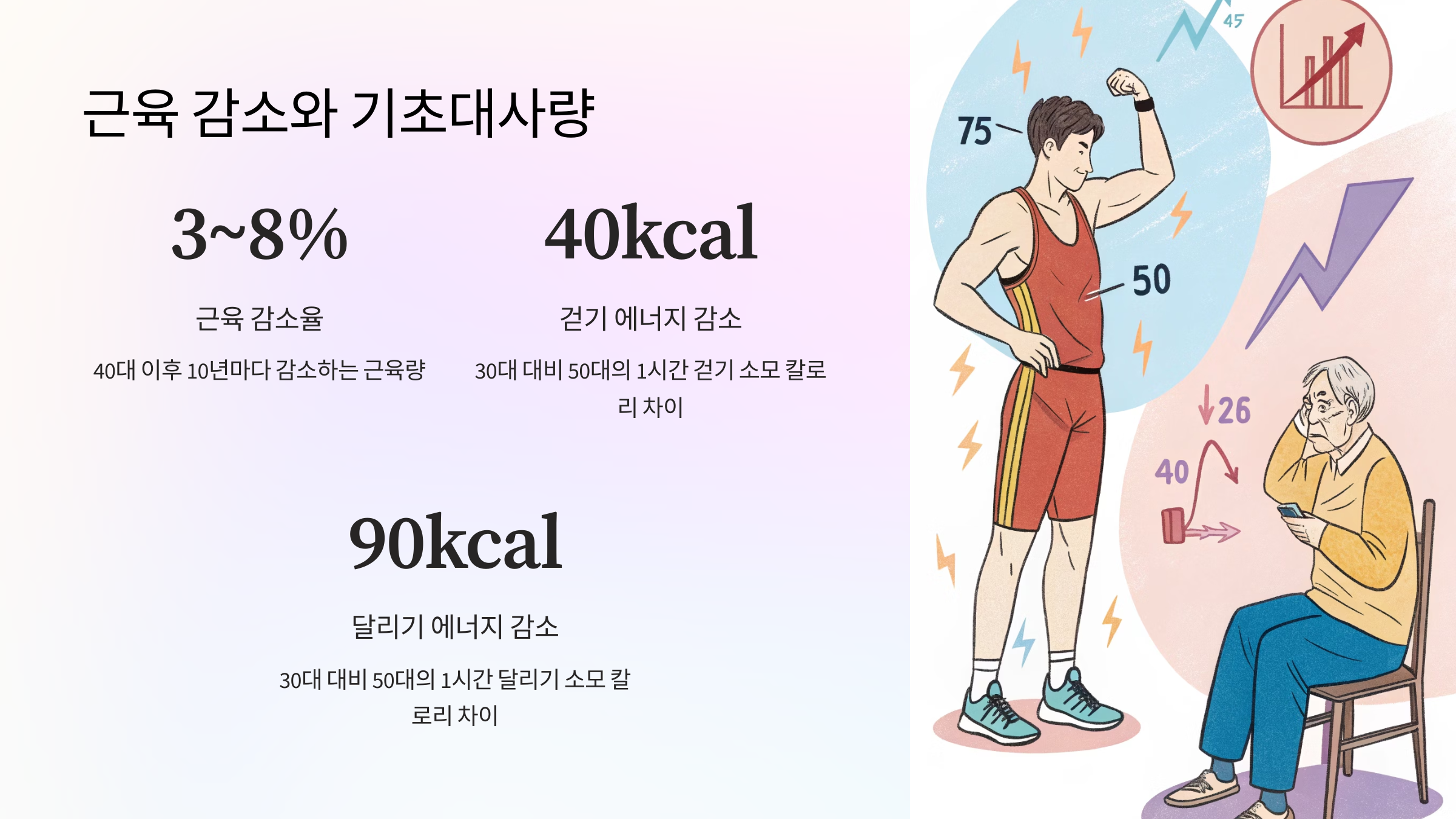 🏋️ 근육 감소와 기초대사량 저하