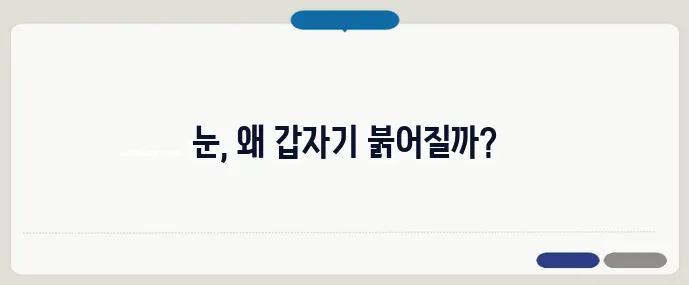눈 실핏줄이 터지는 이유 (+주의사항)