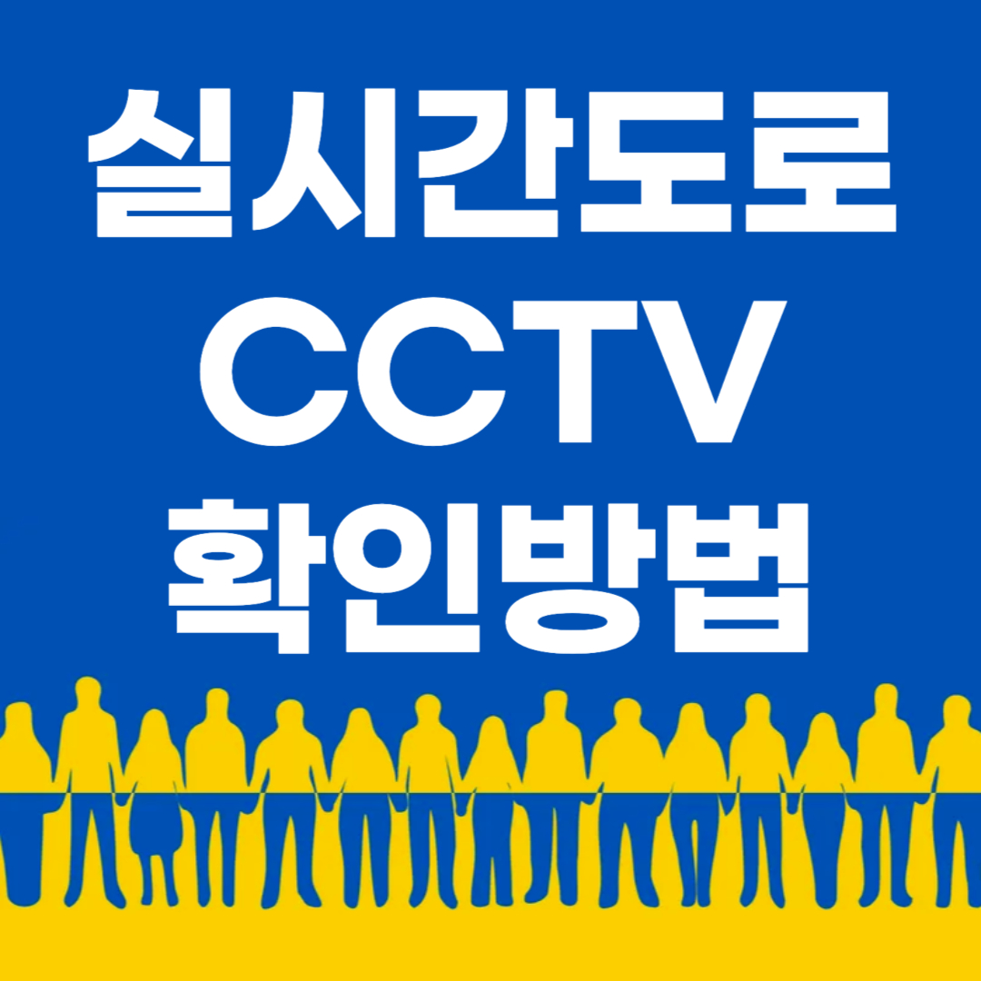 도로 cctv 확인