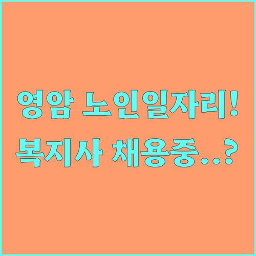 영암군 노인일자리 사업 내용과 시니어..