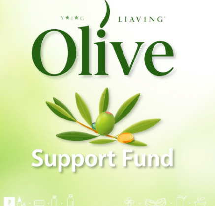 올리브영민생지원금그림