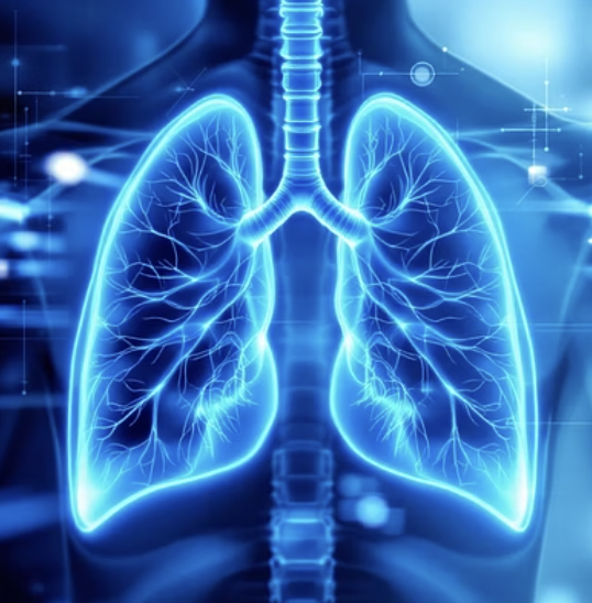 폐활량 검사&amp;#44; 숨 한 번으로 확인하는 폐 건강 상태 총정리
