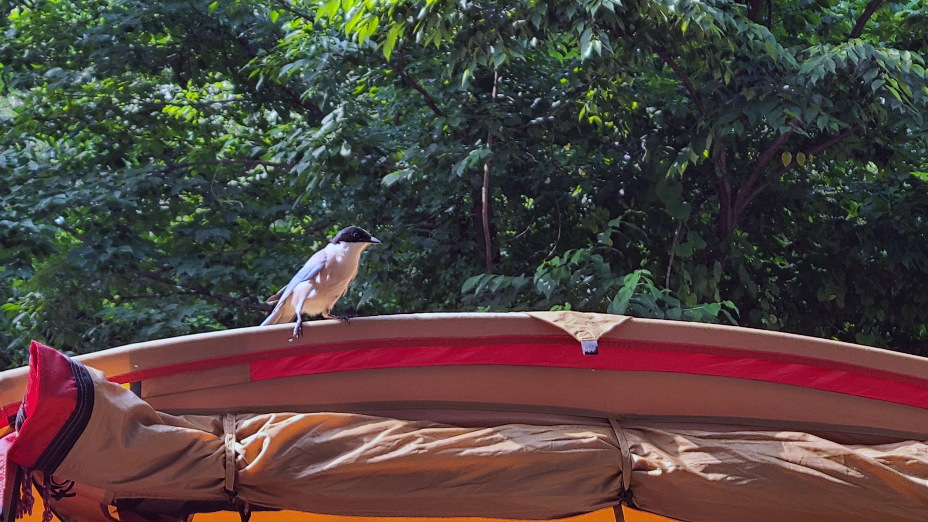 서당골 오토 캠핑장