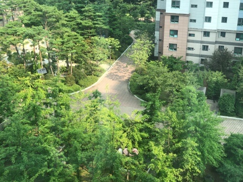 아파트단지