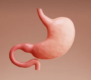 위축성 위염 증상&amp;#44; 원인&amp;#44; 치료 총정리