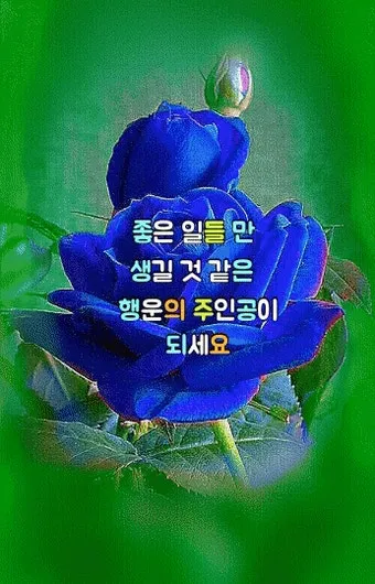 건강 인사말 모음 예시 멘트_19