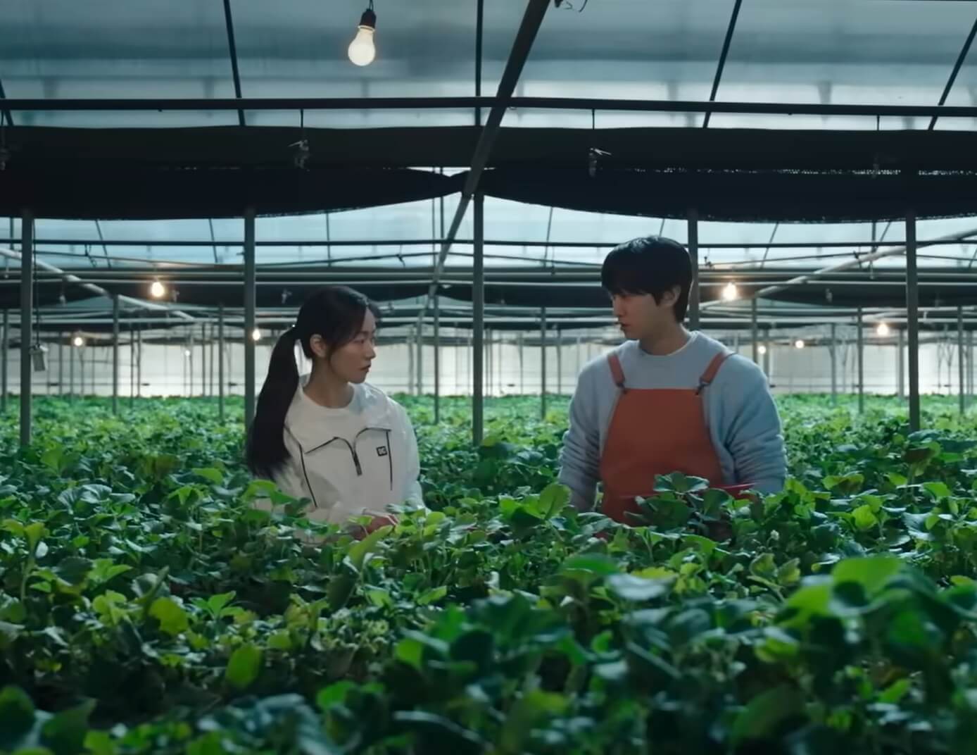 착한 여자 부세미 5화 예고