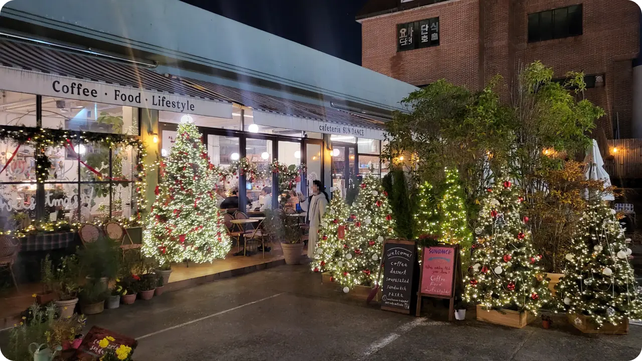 창원-가로수길-선댄스-크리스마스트리