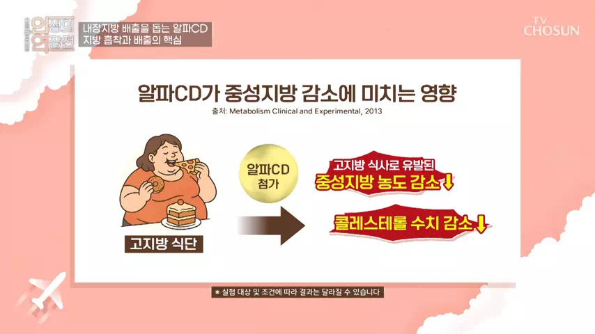 알파CD